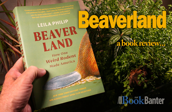Beaverland book review